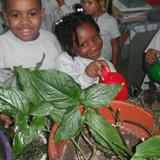 Little Flower Preparatory School, Inc. Photo #3 - Kindergarteners "Plants need water".