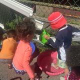 Medical Center Nrsy School Photo #2 - Summer program