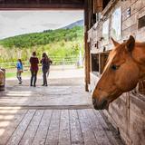 North Country School Photo #11 - Horseback riding is offered as part of our on-campus, working farm