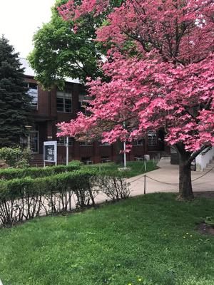 Astoria Lutheran School Photo