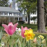 Soundview Preparatory School Photo #7 - Soundview's Main House in spring