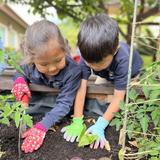 Foothill Country Day School Photo #4 - KinderGARDEN is not just a word here! Our students actually get dirty and maintain a real garden!