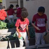 Fremont Christian School Photo #5 - The FCS garden is utilized by select classes - students get hands-on experience, as they are involved with how their food is planted, maintained, and harvested.