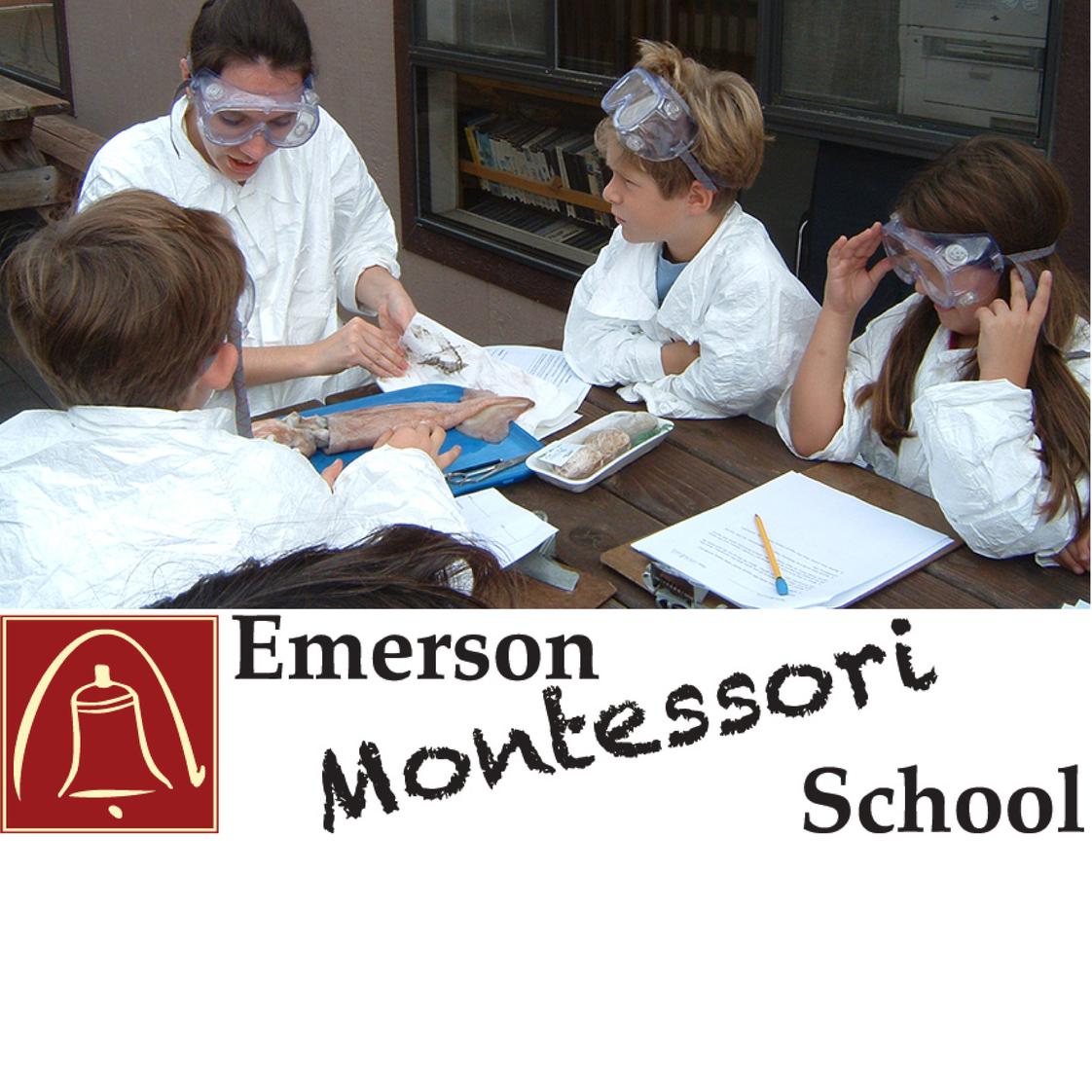 Emerson Montessori School - Palo Alto Photo - * Individualized, self-paced core curriculum *Chinese, Spanish, art, music, and PE for all *Year-round, full-day program for grades 1-8 *Cultivation of thinking skills and ethical values *Emphasis on personal goal setting