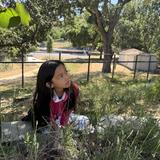 Hillbrook School Photo #9 - Science at Hillbrook is hands-on! Our students love working in the gardens to help make things grow.