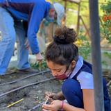 Hillbrook School Photo #7 - Science at Hillbrook is hands-on! Our students love working in the gardens to help make things grow.