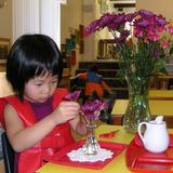 Montessori Child Development Center Photo - Flower Arranging