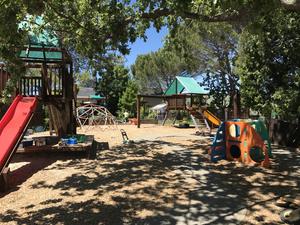 Montessori In Motion Photo