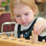 Montessori Of Brea Photo - 2 year old working with the Cylinder Blocks