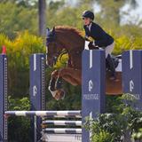 The Knox School Photo #12 - Since 1914, the Knox Equestrian Program has trained students from novice to elite, preparing riders for success in national competitions.