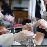 The Ursuline School Photo #4 - Ursuline students build research and laboratory skills through hands-on experimentation, supported by opportunities to pursue advanced science research.