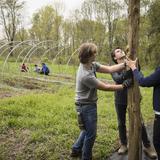 Trinity-Pawling School Photo #18 - Through our Environmental Stewardship Institute, campus farm, and service projects, students work together to steward our natural resources.