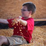 Pathway Christian Academy Photo #8 - A student enjoying the grain bin on our field trip to Hubb's farms. It was one of their favorite events.