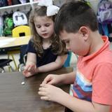 Wake Christian Academy Photo #3 - Elementary students enjoy fun STEM-focused learning opportunities. Our youngest students benefit from hands-on activities that engage their senses as they learn important math and science concepts.