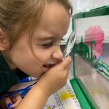 Bishop Flaget School Photo #6 - Observation starts early as we learn how to learn.