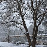 One School Photo #4 - Winter time at Gahanna Christian Academy