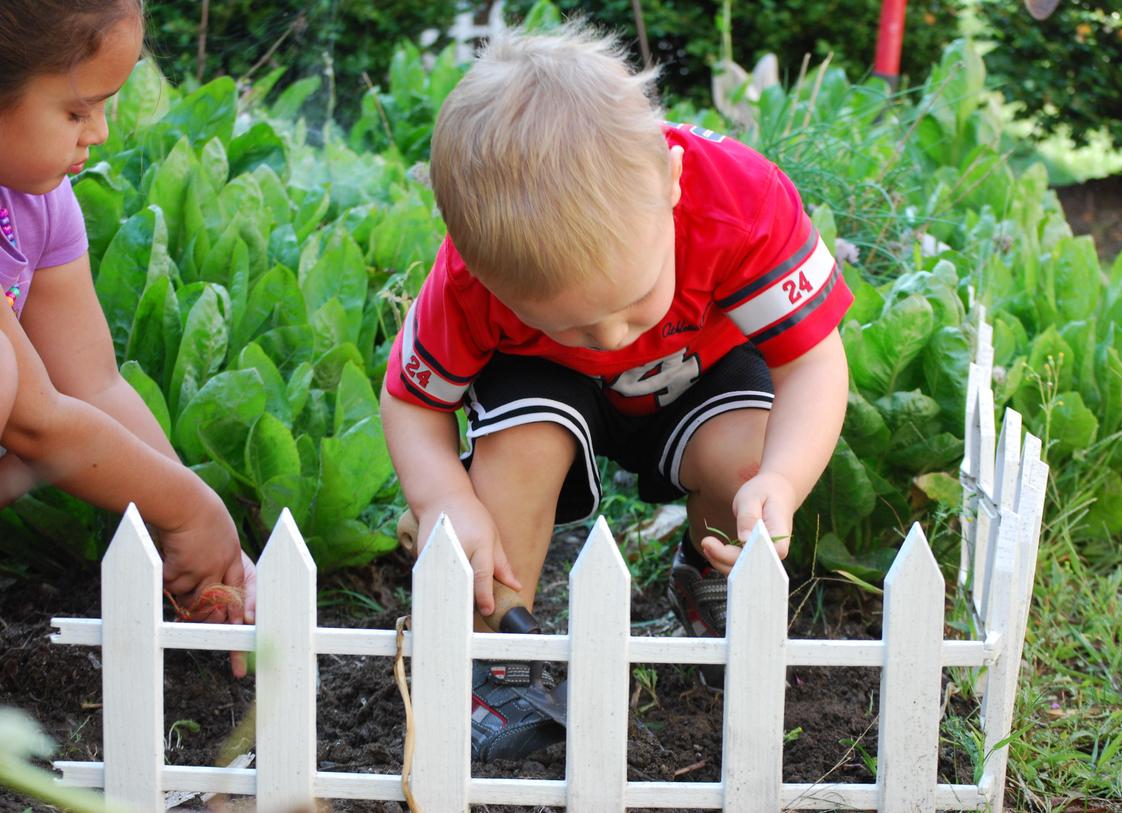 Hudson Montessori School Photo #1 - Children's House gardening
