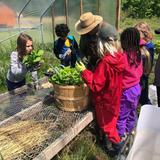 Spring Garden Waldorf School Photo #4 - Outdoor curriculum and a connection with nature is a hallmark of Waldorf education. Students are outside three times a day for recess and also for curriculum such as gardening, physical education, science, and more.