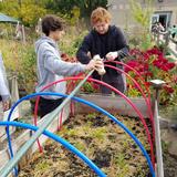 The Miami Valley School Photo #7 - During your campus tour, don't miss the Zorniger Environmental Laboratory (Z-Lab), comprised of the school greenhouse and gardens.