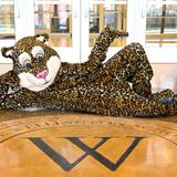 The Wellington School Photo #10 - Duke the Jaguar at The Wellington School, Columbus, Ohio