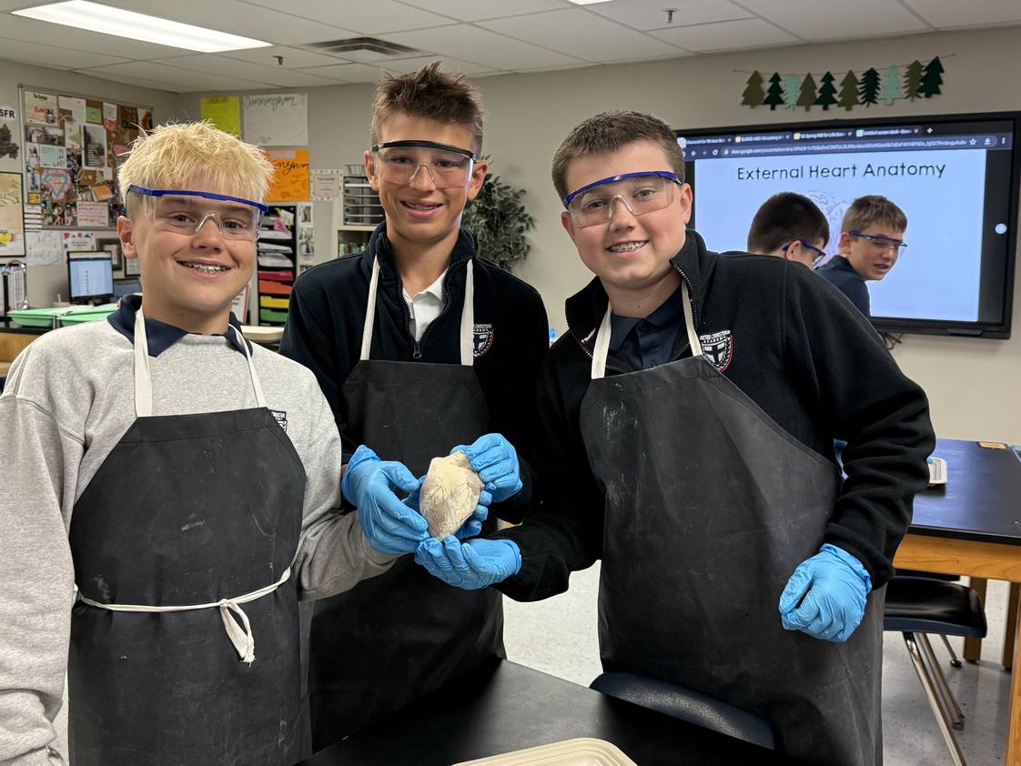 Metro Christian Academy Photo #1 - 7th-Graders wrapped up their body systems unit by dissecting sheep hearts and exploring the cardiovascular system, looking at chambers and vessels, and learning how blood flows through the heart.