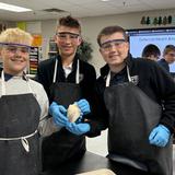 Metro Christian Academy Photo #1 - 7th-Graders wrapped up their body systems unit by dissecting sheep hearts and exploring the cardiovascular system, looking at chambers and vessels, and learning how blood flows through the heart.