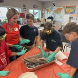 Metro Christian Academy Photo #6 - Shark Dissections