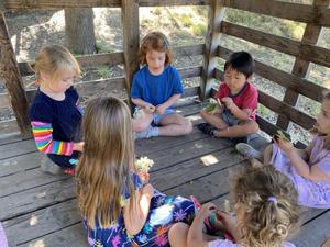 Portland Waldorf School Photo