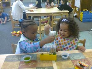 The Campus Laboratory School Of Carlow University Photo