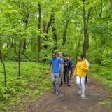 The Crefeld School Photo #10 - Crefeld is located immediately adjacent to the Wissahickon Woods, allowing teachers and students to use it as an extension of the classroom and campus.