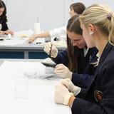 Gwynedd Mercy Academy High School Photo #4