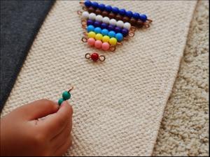 The Montessori Children's House Of York Photo
