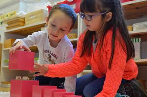 The Gladwyne Montessori School Photo