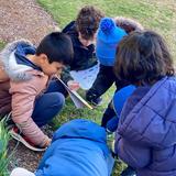 Ocean State Montessori School Photo #14