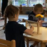Charles Towne Montessori School Photo #4
