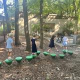 Charles Towne Montessori School Photo #6