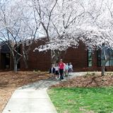 Christ Church Episcopal School Photo #3 - CCES is situated on a beautiful 72-acre campus with eight separate buildings.