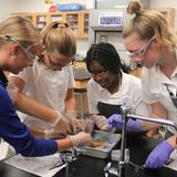 St. Joseph's Catholic School Photo #10