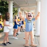 Clarksville Academy Photo - We are the cougars!