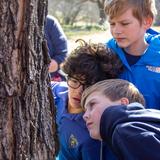 Overbrook Catholic School Photo #4 - Boys looking at maple trees they tapped during STEM class at OCS in Nashville, Tennessee.