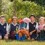 St. Mary's School Photo #1 - Our school flower garden allows us to get outside occasionally, soak in some sunshine, and get our hands dirty!