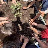 All Saints Episcopal School Photo #10