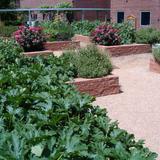 St. John Paul II Catholic School Photo #2 - The garden at St. John Paul II Catholic School serves as an outdoor classroom.