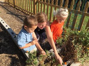 Montessori Country Day School Photo