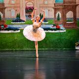 Saint Mary's Hall Photo #6 - Fine Arts Ballet