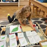 Country Day Montessori School Photo #1 - Learning About Photosynthesis