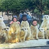 C.f. Richards Christian School Photo #11