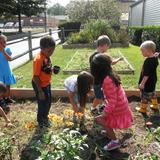 Central Christian Academy Photo - Students can grow plants in our school garden.