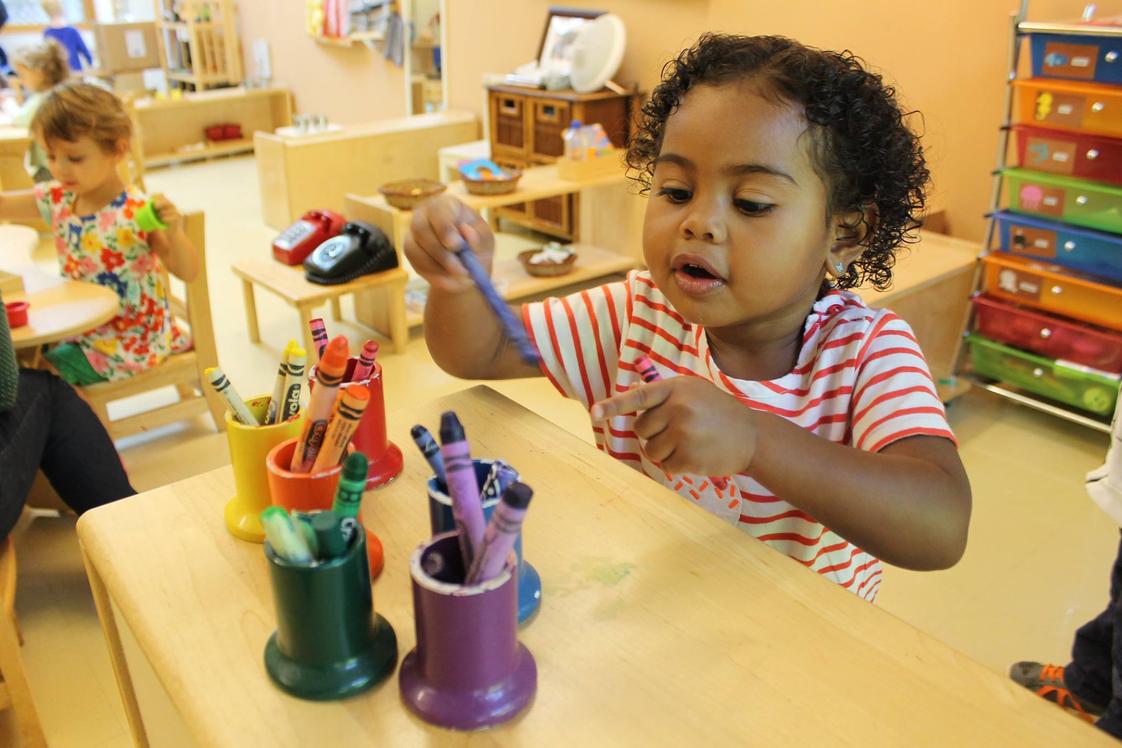 Montessori School of Northern Virginia Photo