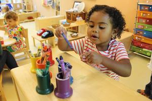 Montessori School of Northern Virginia Photo Montessori School of Northern Virginia Photo